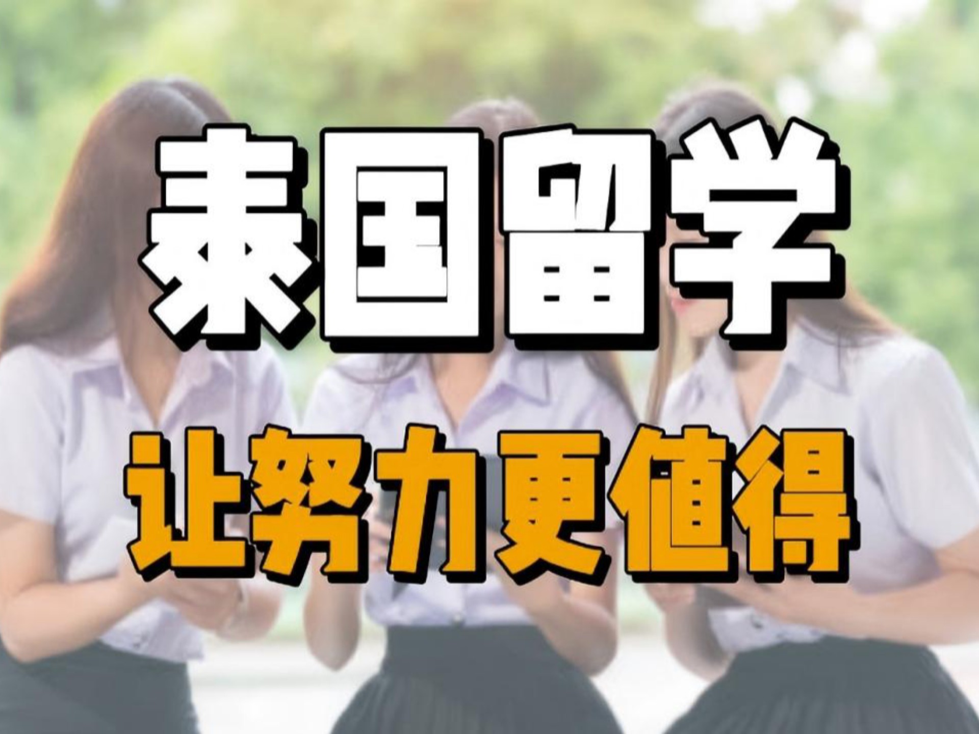 你们是去泰国读本科还是在国内读本科呢?